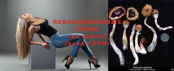 a pvp Ростов