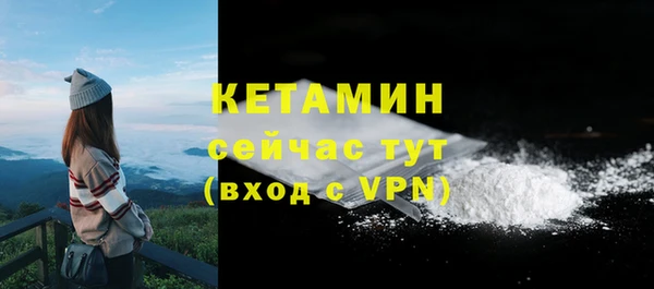 твердый Гусь-Хрустальный