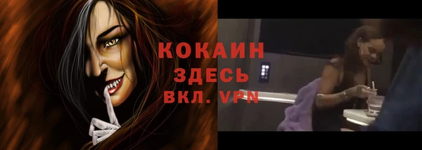 твердый Гусь-Хрустальный