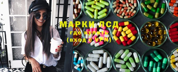 ПСИЛОЦИБИНОВЫЕ ГРИБЫ Гусев