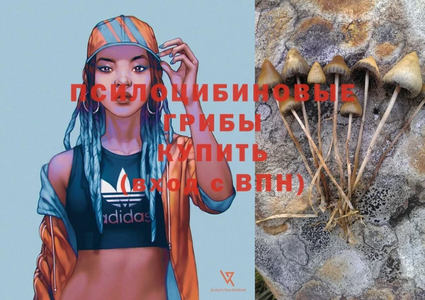 твердый Гусь-Хрустальный