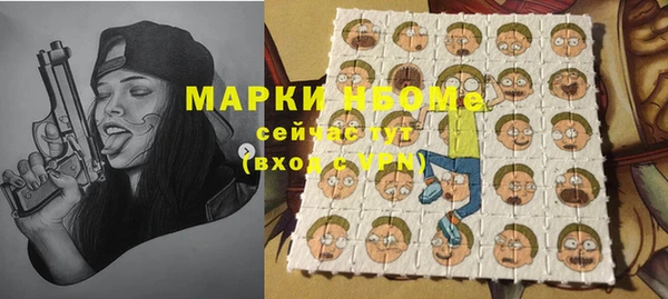 ПСИЛОЦИБИНОВЫЕ ГРИБЫ Гусев