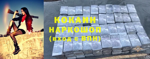 ПСИЛОЦИБИНОВЫЕ ГРИБЫ Гусев