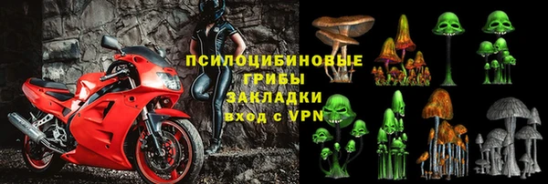 ПСИЛОЦИБИНОВЫЕ ГРИБЫ Гусев