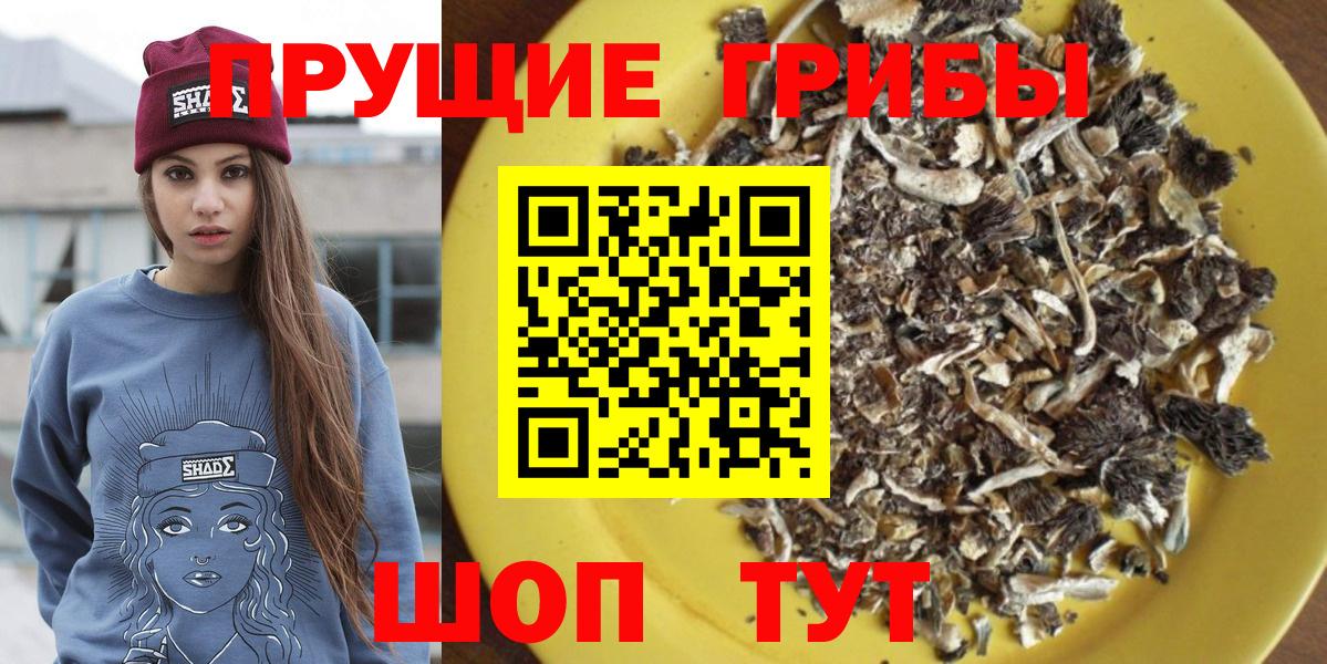 Галлюциногенные грибы MAGIC MUSHROOMS Чита