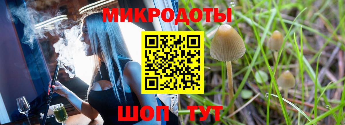 Чита  хочу   Вход с VPN  Псилоцибиновые грибы Cubensis 